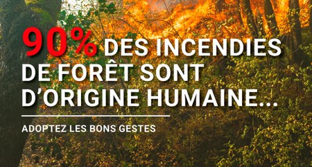 Illustration de l'actualité - cliquer pour agrandir
