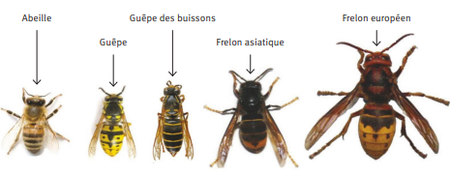 Illustration de l'actualité - cliquer pour agrandir